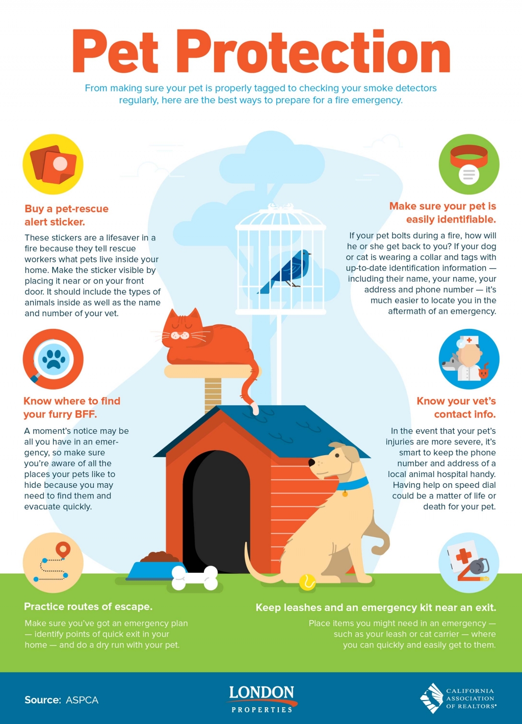 Pet Protection